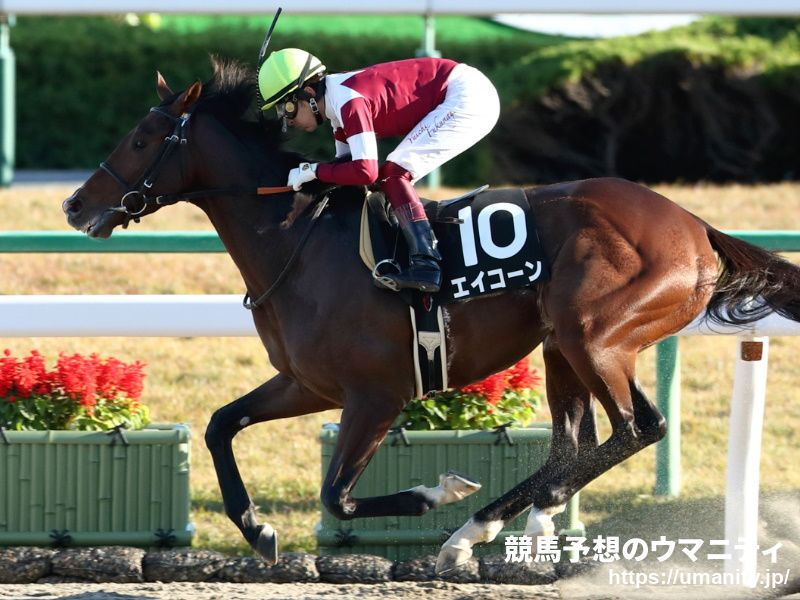 ３０日美浦で米ＧⅠ５勝ステファニーズキトゥンの娘など４３頭の２歳馬がゲート合格