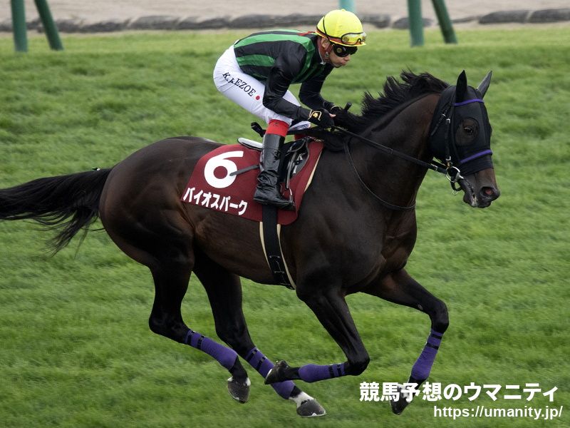 １７日美浦で４頭の２歳馬がゲート合格