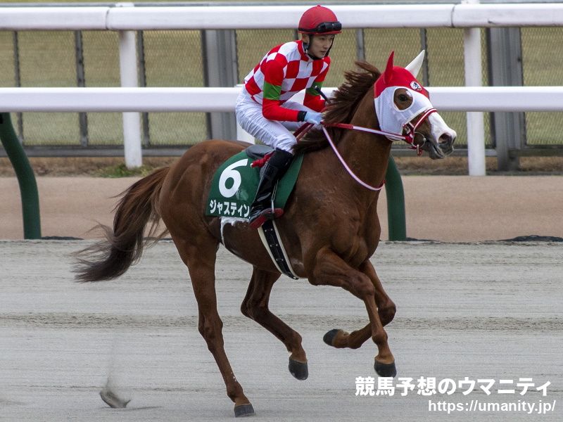 【ドバイゴールデンシャヒーン】日本馬陣営のコメント