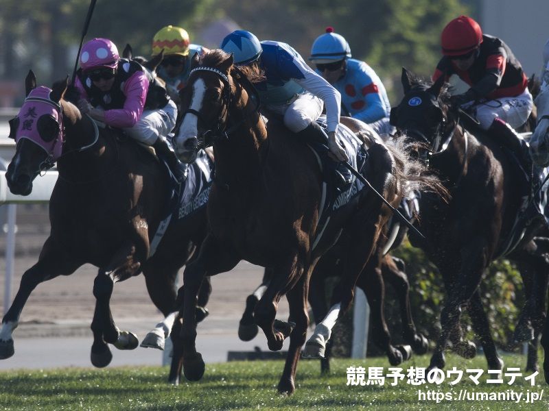 ５日美浦でＧⅠ３勝アドマイヤマーズの半妹など３１頭の２歳馬がゲート合格