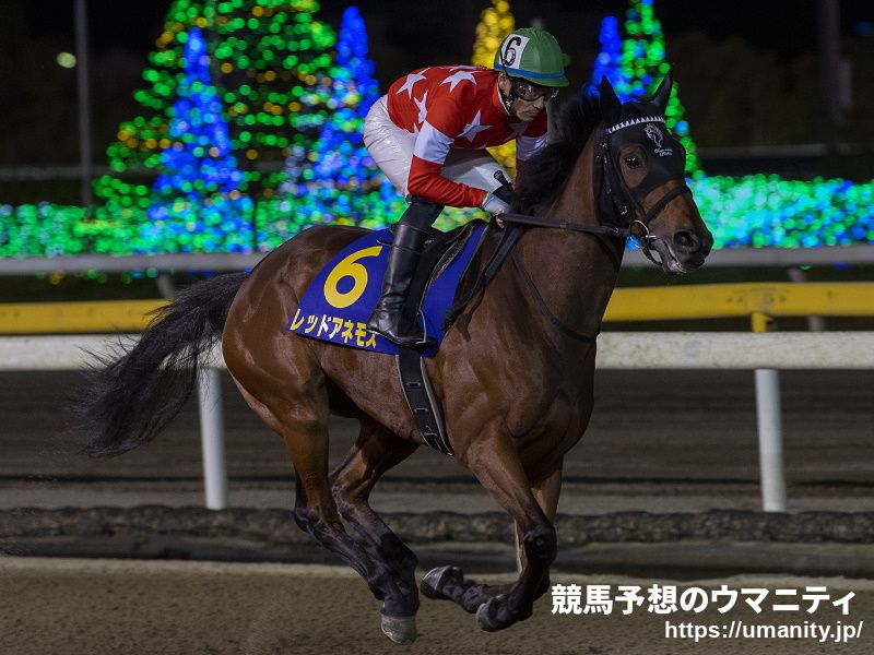 【巴賞】レッドアネモス函館芝で単走！馬なり１２秒４