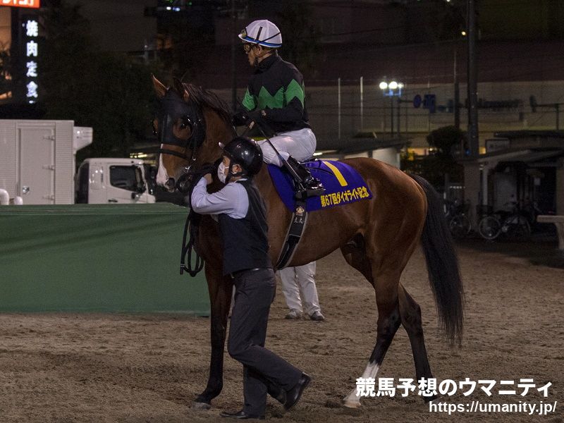 【今日の注目新馬】阪神６Ｒ　トランセンドの近親アリクテラー「ダート１８００メートルはいい」