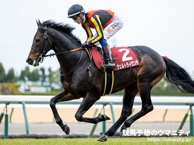 ２８日美浦でチアズメッセージの息子など７頭の２歳馬がゲート合格