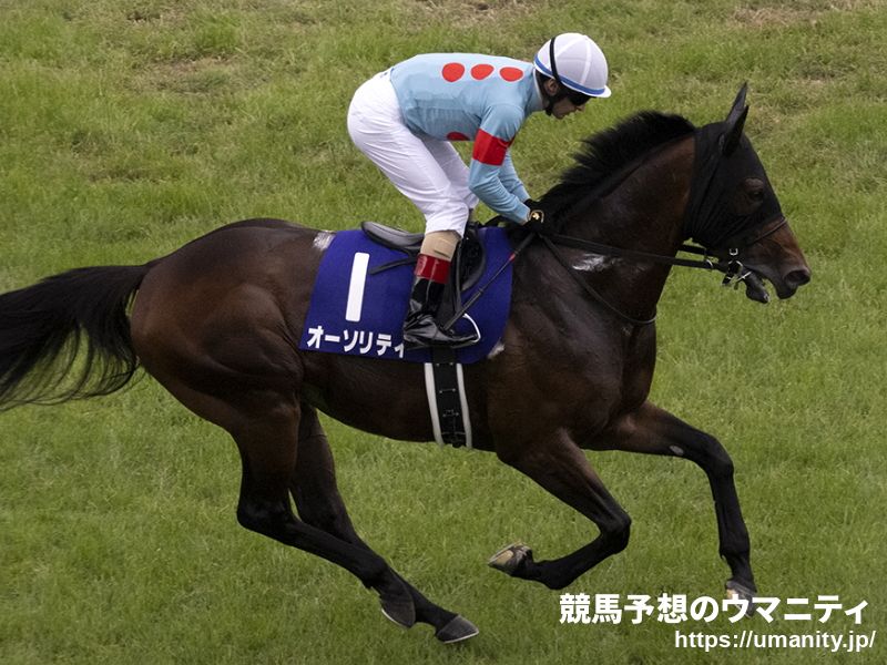 ２６日美浦でオーソリティの半弟など２７頭の２歳馬がゲート合格