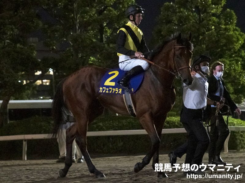 １２・１３香港国際競走に登録した日本馬を発表
