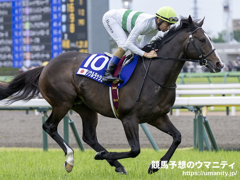 富士Ｓ2024】出走予定馬最速チェック ソウルラッシュ、セリフォスなど9頭を診断｜競馬ニュース｜競馬予想のウマニティ