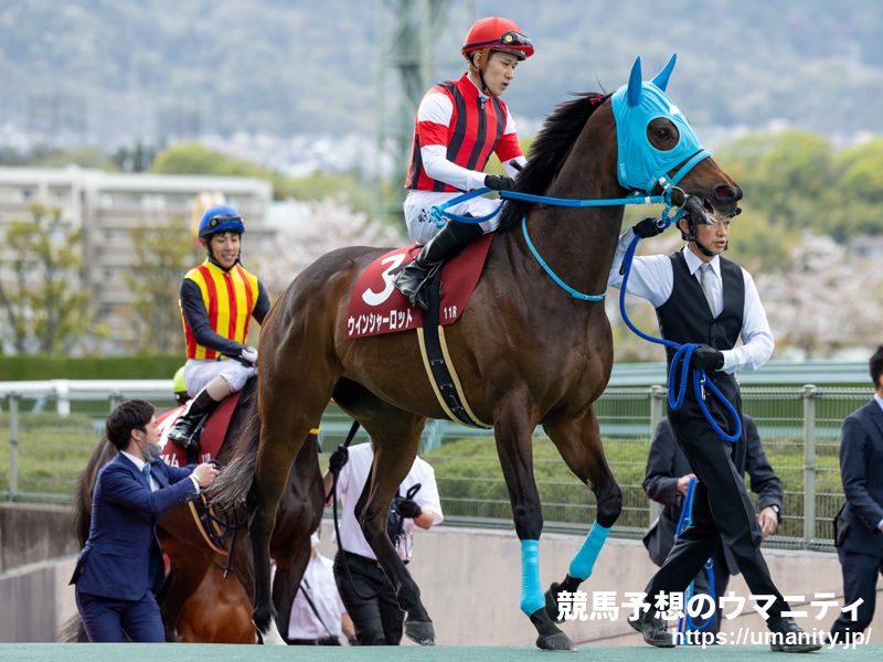 【京都牝馬Ｓ】脚部不安明けのウインシャーロットは１０カ月ぶりでも動きキビキビ