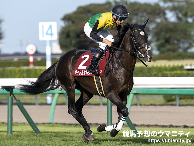 【ジャパンＣ】ＧＩ３勝馬タイトルホルダーは５着　横山和生騎手「最後は瞬発力のある馬に来られたが、よく頑張ってくれました」