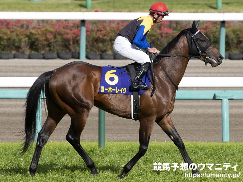 【日経新春杯】９番人気のヤシャマルが３着に健闘　松田「乗りやすくていい馬」