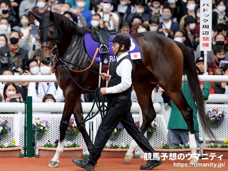 【有馬記念】阪神・岡田彰布監督は内枠引いたジェラルディーナを推奨