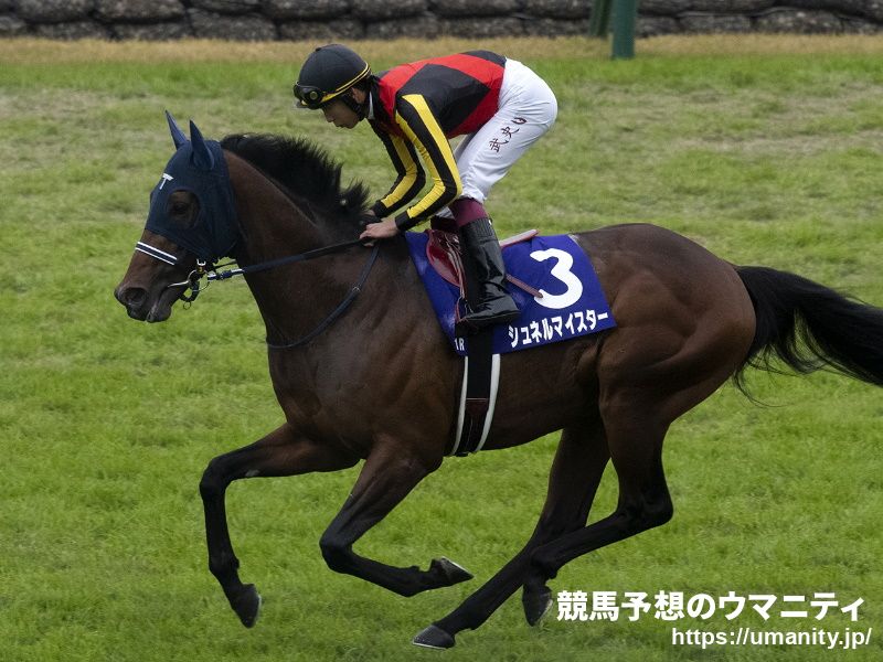 チカレンヌが武豊騎手で２９日東京の新馬戦でデビュー