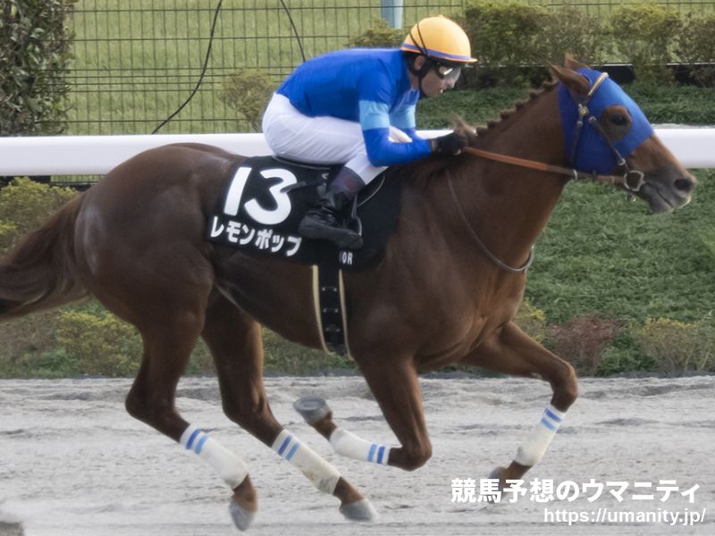 【武蔵野Ｓ】４連勝中のレモンポップは美浦Ｗで馬なり併入