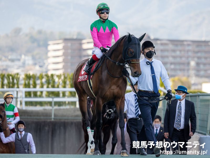 【有名人の予想に乗ろう！】目黒記念2023　日本競馬最古のハンデキャップ競走として知られる伝統の一戦！仕留めるのは！？
