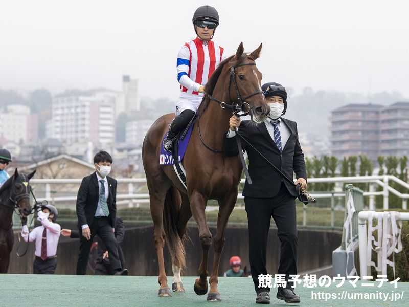 【東京新聞杯】昨年の牝馬クラシックに出走した４歳馬が３頭登録　芝のマイル重賞の注目点