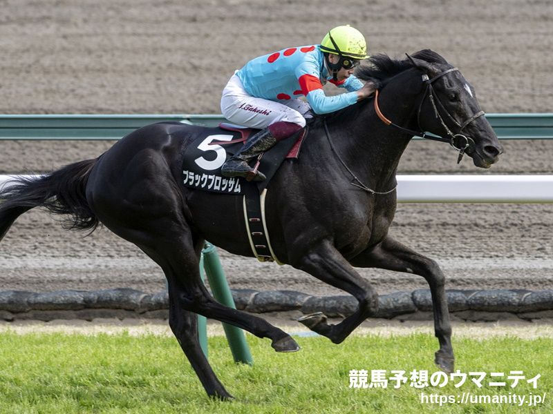【有名人の予想に乗ろう！】京都新聞杯2022　日本ダービーを見据える素質馬たちが激突！あの人の見解は！？