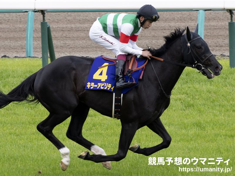【日本ダービー】ＧＩ馬キラーアビリティは６着　横山武「ゲートと折り合いの２点を意識していました」