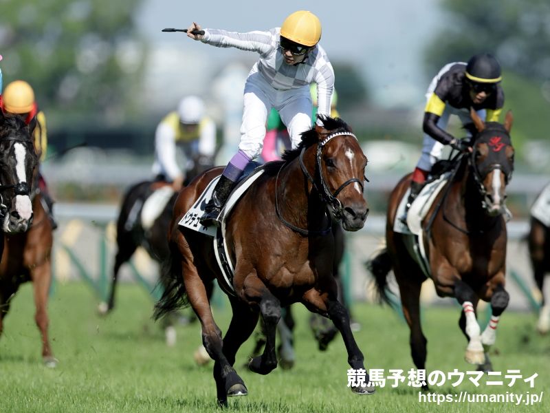 【凱旋門賞】ニエル賞勝ち馬シムカミルは回避してジャパンＣへ