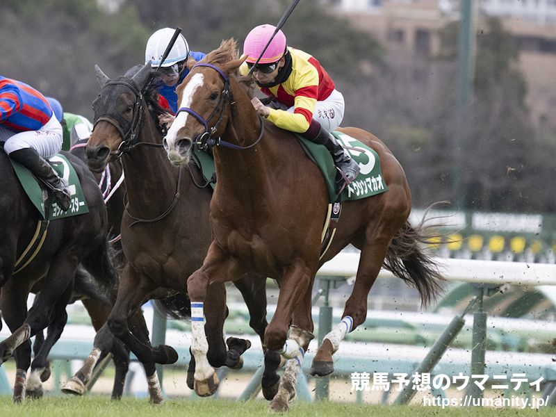 【高松宮記念】トウシンマカオは美浦Ｗコースで馬なり１１秒４　高柳師「中２週なので疲れを残さないように」
