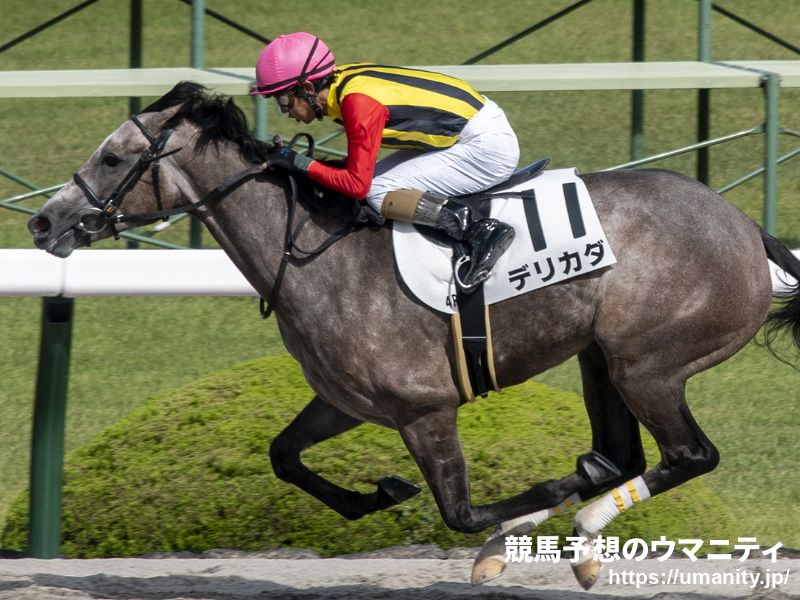 和田竜二騎手がＪＲＡ通算１４００勝を達成！
