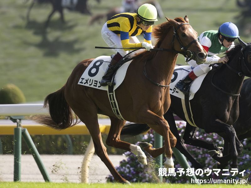 ２０日美浦でショウナンアデラの娘など６頭の３歳馬がゲート合格