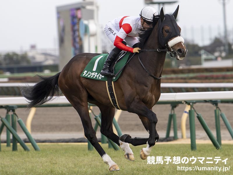 ８日函館競馬場で米ＧⅠ勝ちシーズアタイガーの娘など５頭の２歳馬がゲート合格