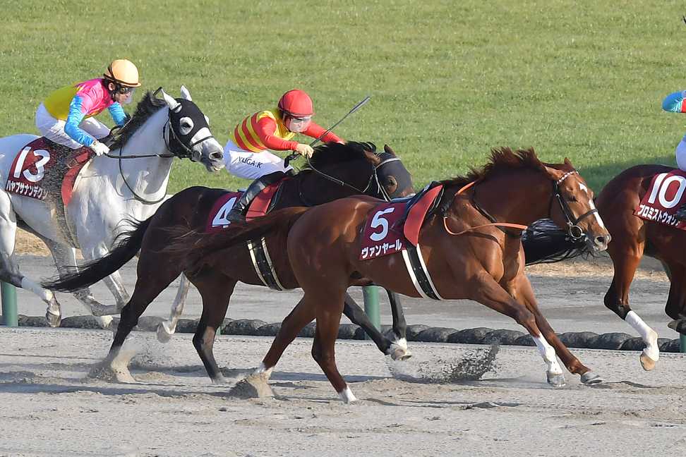 【東海Ｓ】７歳馬ハヤブサナンデクンが３着　福永「勝ち馬が強かった」
