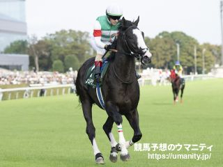 【Ｕ指数的分析の結論！】東京スポーツ杯２歳Ｓ2023　今年も例年通りU指数上位馬と前走新馬戦1番人気1着馬で勝負！