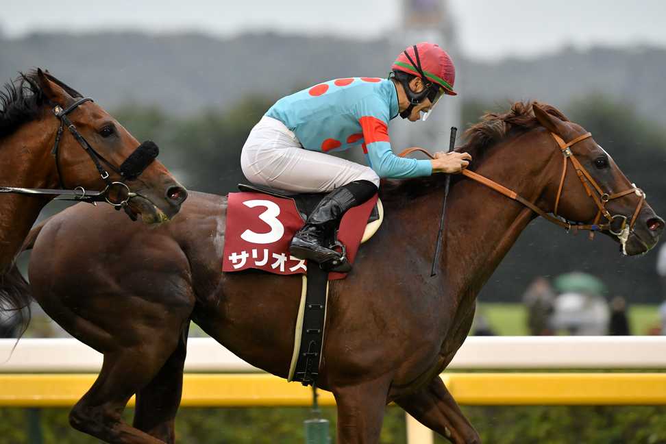 サリオスは香港マイルを最後に競走馬を引退、種牡馬に