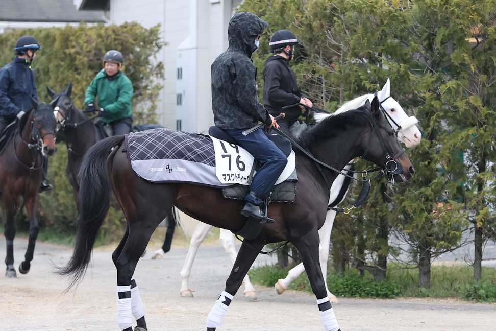 【阪神牝馬S2024特集】マスクトディーヴァ「発馬を五分に出てくれれば」 モリアーナ「マイルは合っているし、外回りなら末脚も生かせる」