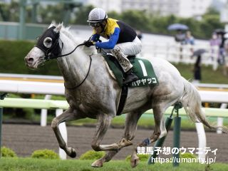 【Ｕ指数的分析の結論！】中日新聞杯2022　“淒馬”の評価を得た芝・ダ兼用の実力馬ハヤヤッコが中心！