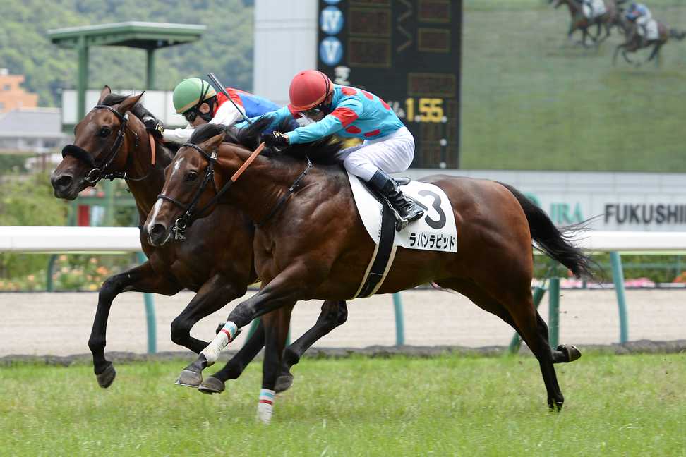 【２歳新馬】福島５Ｒ　ラパンラピッドがハナ差で競り勝つ