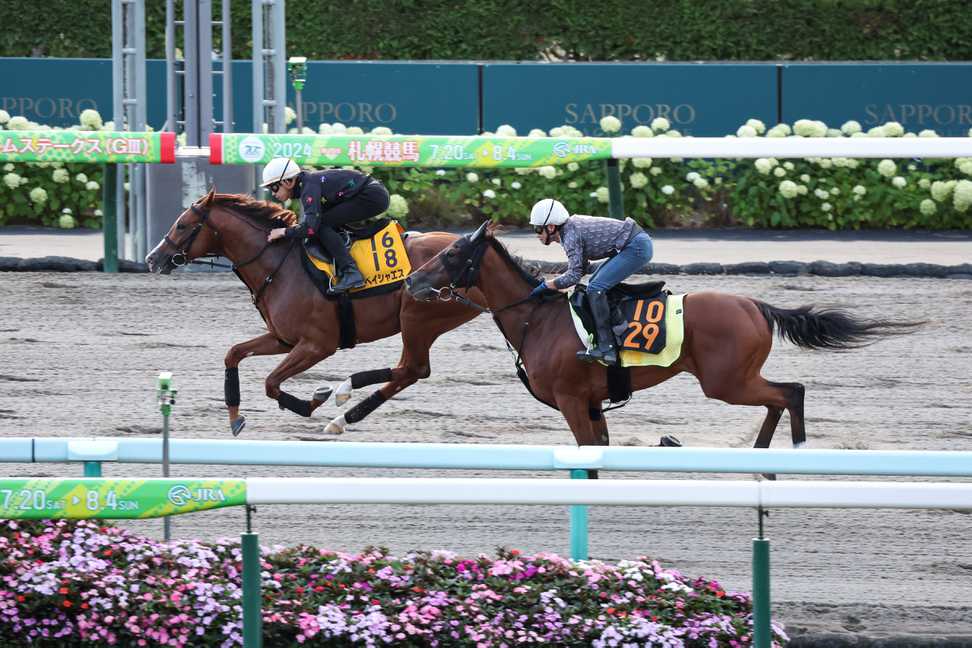 【エルムＳ】ペイシャエスは馬なり併入　横山和生騎手「前走のマーチＳより悪くはありません」