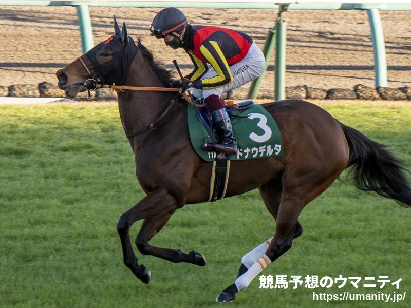【血統アナリシス】京都牝馬S2022　昨年はロードカナロア産駒が逃げ切り勝ち
