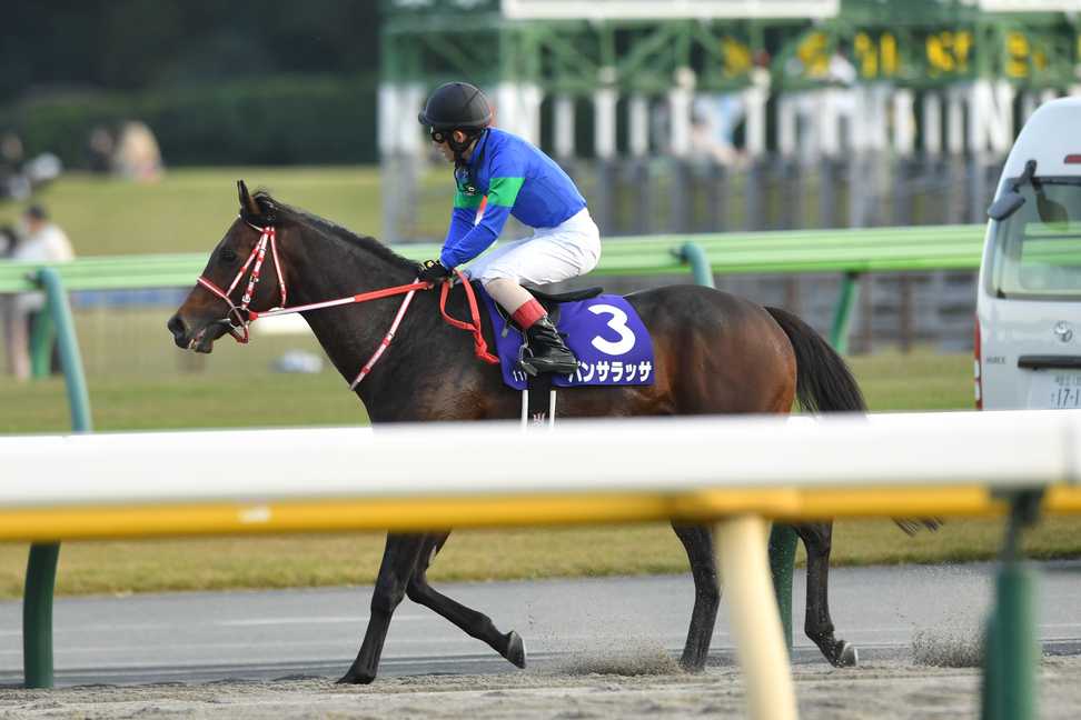 香港国際競走の招待受諾馬を発表　パンサラッサら１４頭