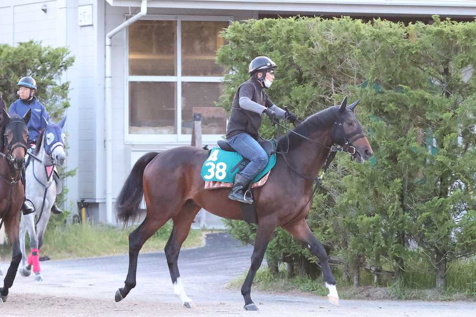 【今週の注目新馬】ソダシ＆ママコチャの半妹エスタア、追われるごとに反応良化