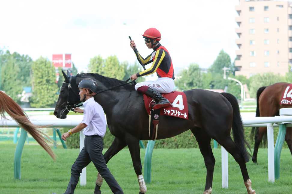 【札幌記念】ダービー馬シャフリヤールは復活Ｖならず１１着　横山武史騎手「馬場が悪いのが無理でした」