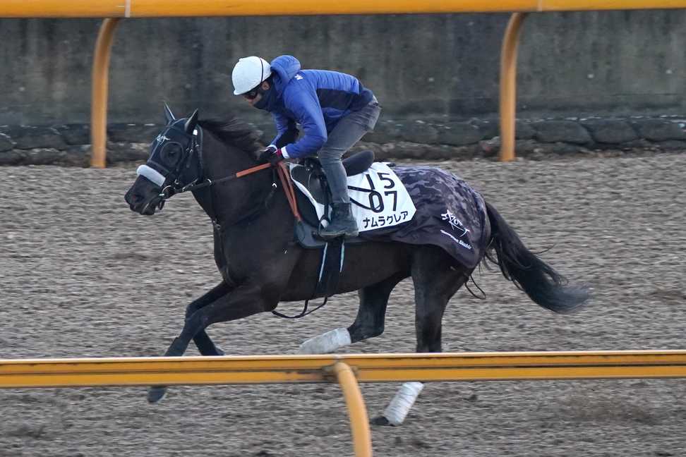 【京都牝馬Ｓ】１週前追い　ナムラクレアは浜中俊騎手を背に８１秒０「休み明けとすれば及第点」