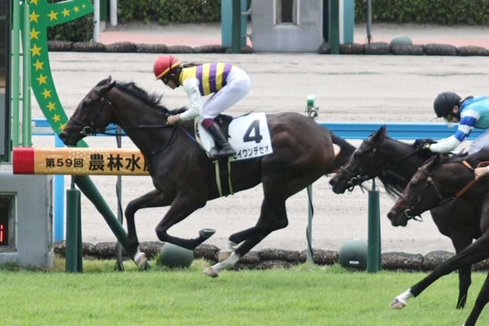 【２歳次走報】セイウンデセオは今村聖奈騎手で小倉２歳Ｓへ