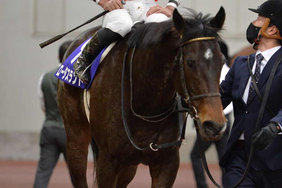 【高松宮記念】５歳牝馬ロータスランドがクビ差の２着　岩田望「距離に対応できたのは馬のセンス」
