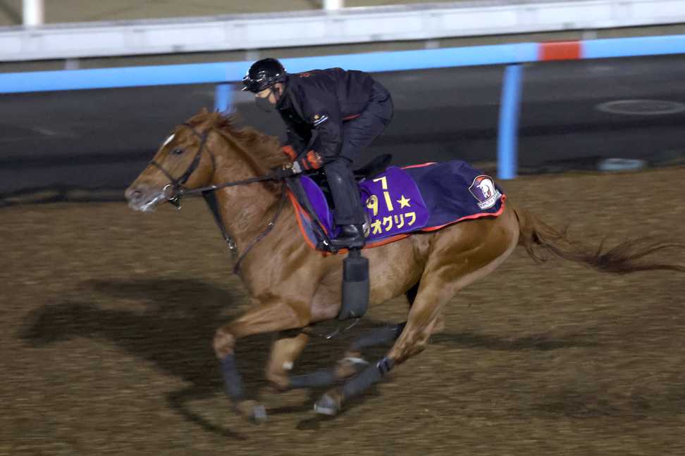 【香港国際競走】関東馬３頭が国内最終追い　ジオグリフはビュイック騎手とのコンビも決定