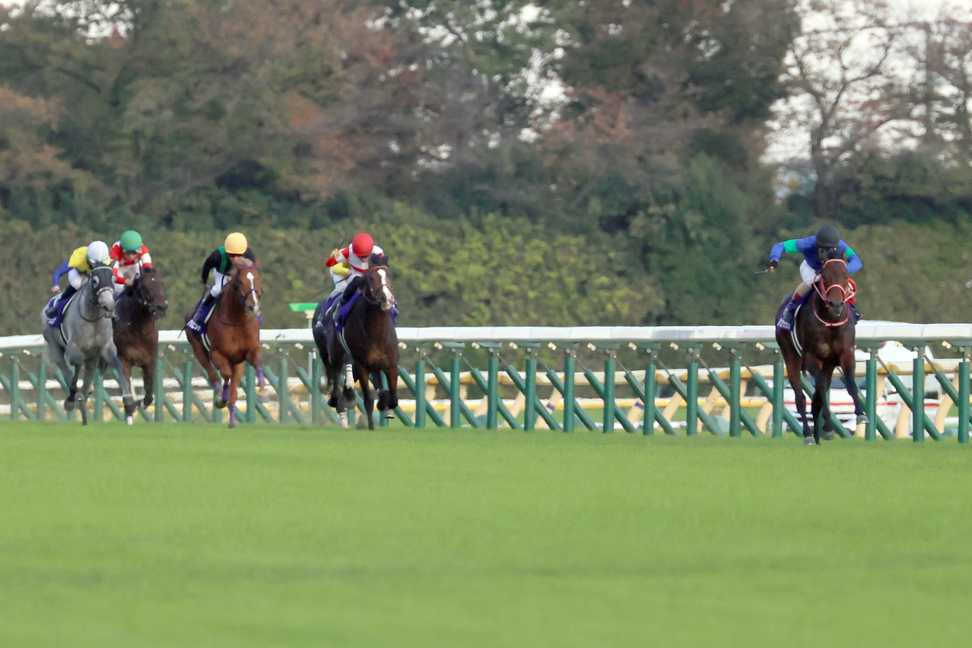 【香港国際競走展望】日本馬１４頭が参戦　カップのパンサラッサの逃走劇に期待