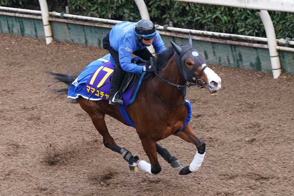 【高松宮記念　トレセン特選マイク】ママコチャ・川田将雅騎手「この馬らしく競馬をすること。それのみです」