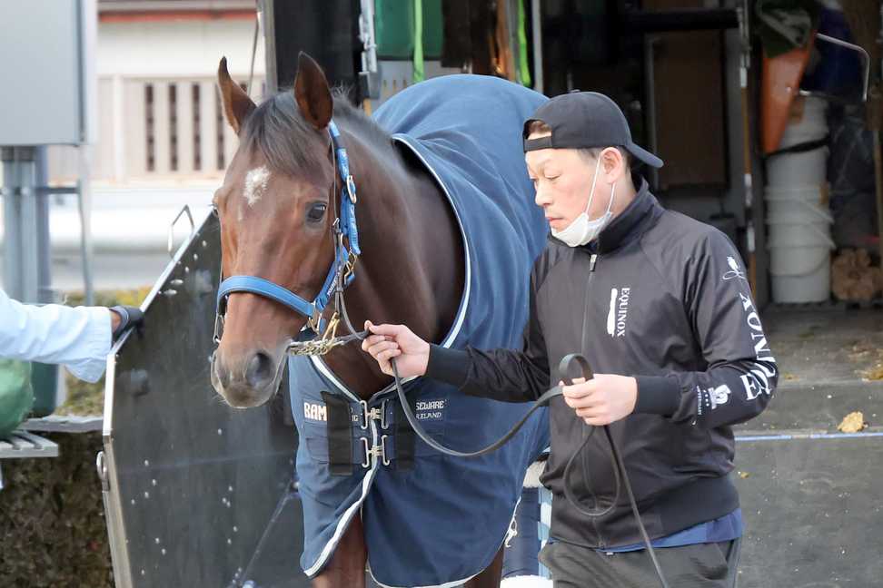 【有馬記念】ブローザホーン、同期ドウデュースの思い背負って夢舞台へ