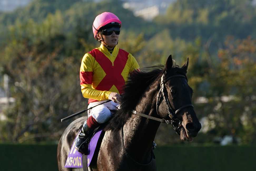 【菊花賞】神戸新聞杯覇者ジャスティンパレスは３着　鮫島駿「もう少し馬を頑張らせることができればよかったんですが…」