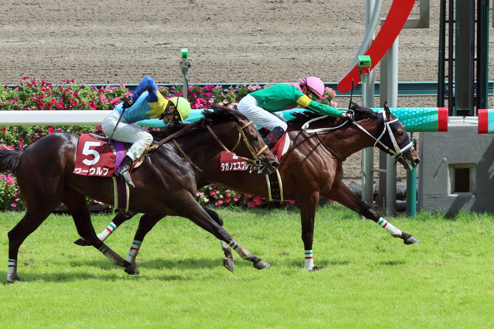 【京都ハイＪ】１０歳馬タガノエスプレッソが逃走Ｖ