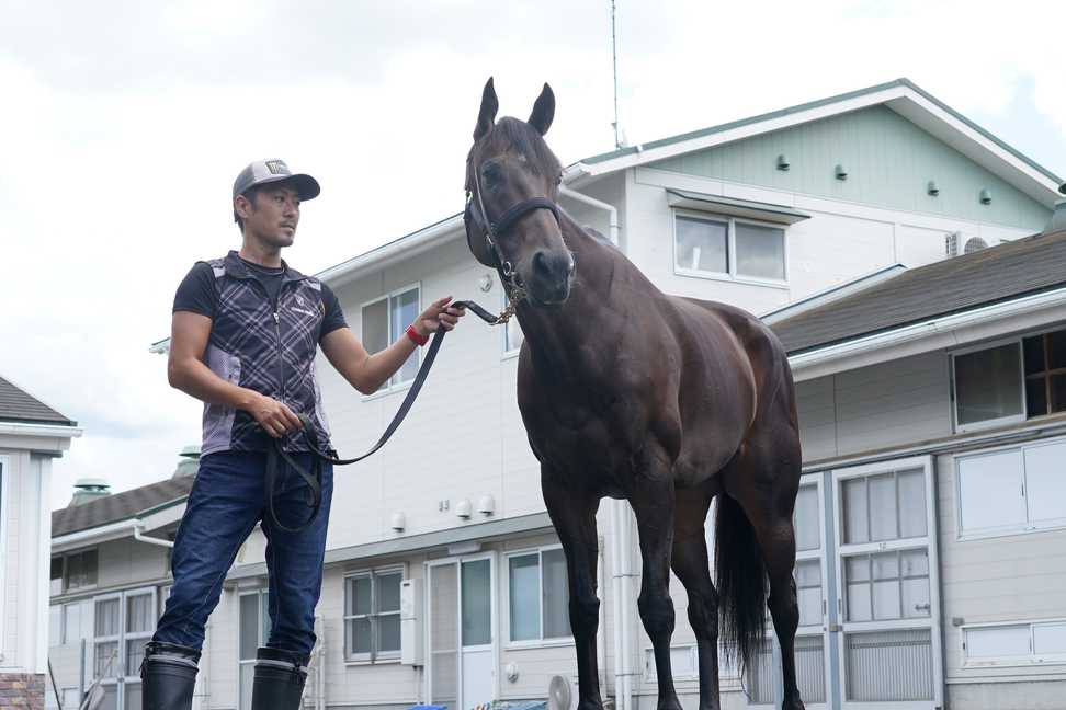 【関屋記念】１週前追い　ロータスランドは坂路で好時計