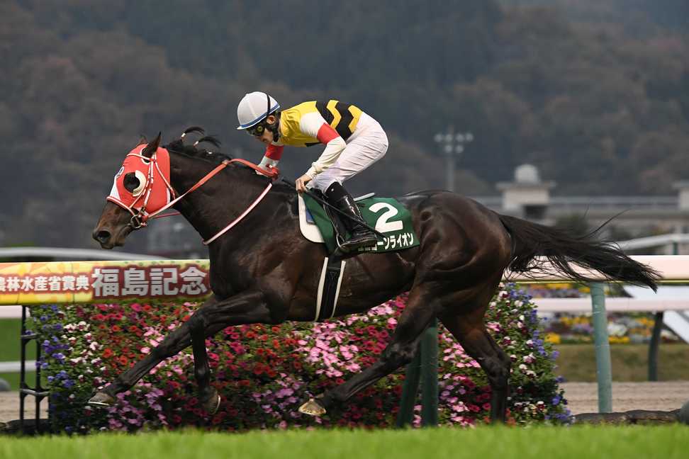 中日新聞杯１１着のユニコーンライオンが引退　今後は種牡馬入りの予定