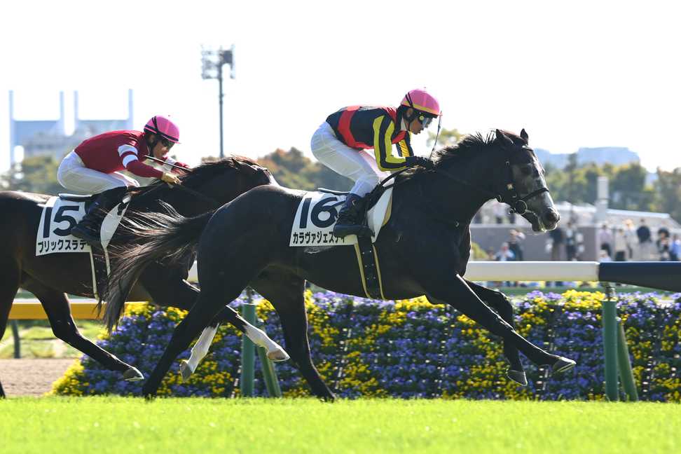 【2歳次走報】カラヴァジェスティはジュニアCとシンザン記念の両にらみ