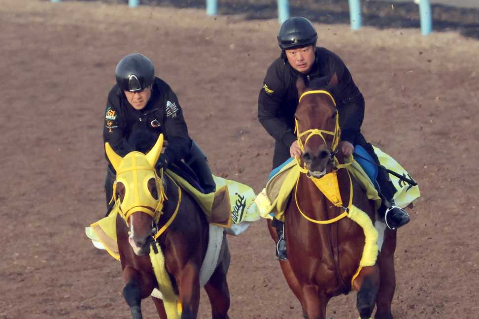 【朝日杯FS】1週前追い　ニタモノドウシはWコースで半馬身遅れ　高木師「悪い馬場に脚を取られていたが、動きは悪くない」