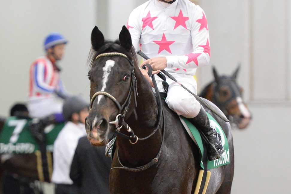 【中日新聞杯】マテンロウレオが２着に入り３歳馬ワンツー　昆師「惜しかったけど、これも勝負事ですからね」
